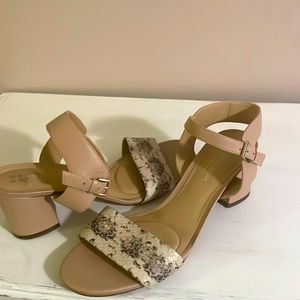 Naturalizer beige tan snake print block sandals shoes. Comfort womens size 8
